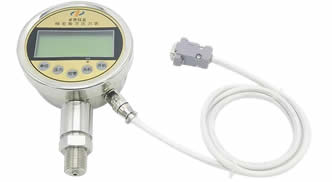 精密數(shù)字壓力表